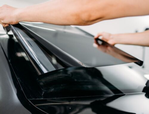 Future of the Tint Industry: A 5 Year Forecast